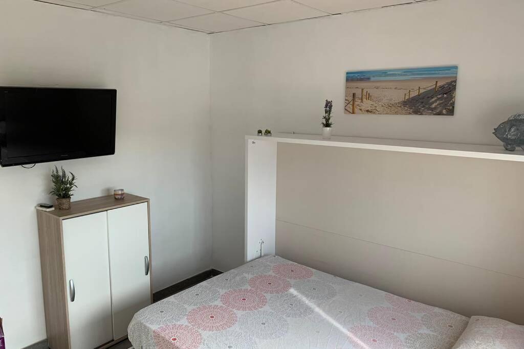 Apartament Casa Del Arbol En El Delta Del Ebro Deltebre Zewnętrze zdjęcie