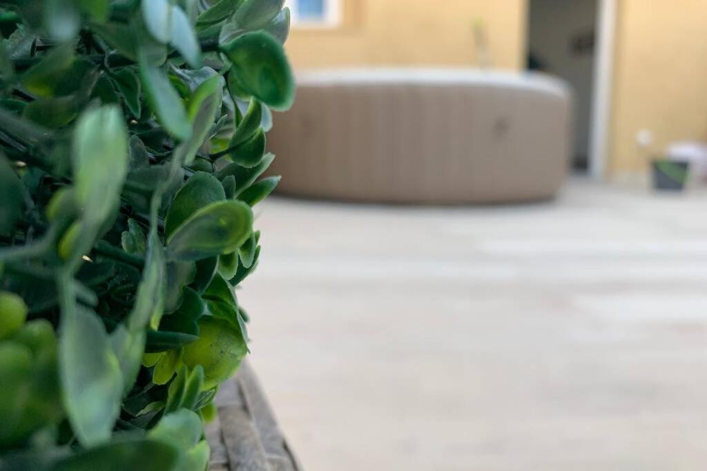 Apartament Casa Del Arbol En El Delta Del Ebro Deltebre Zewnętrze zdjęcie